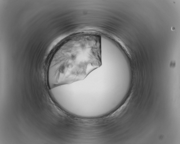 X0000096951066200802080915