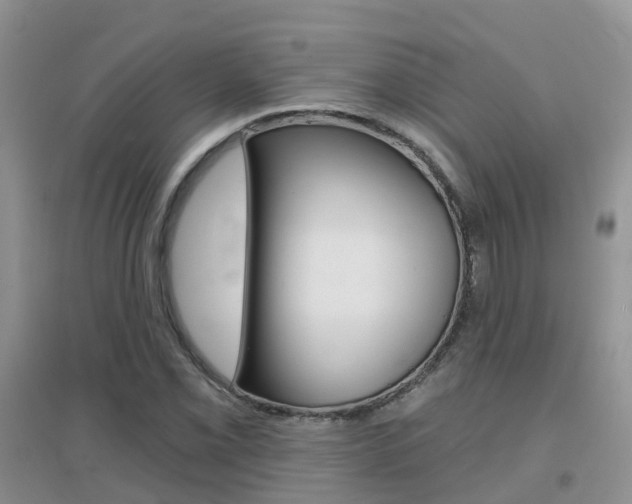 X0000096951069200802080915