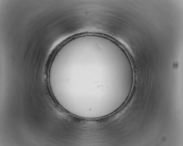 X0000096951070200802080915