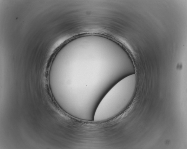 X0000096951071200802080915
