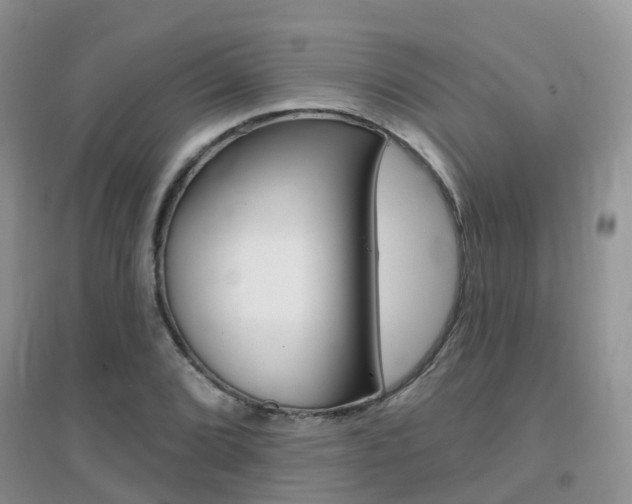 X0000096951072200802080915
