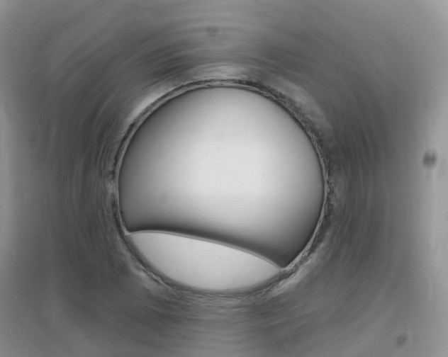 X0000096951073200802080915