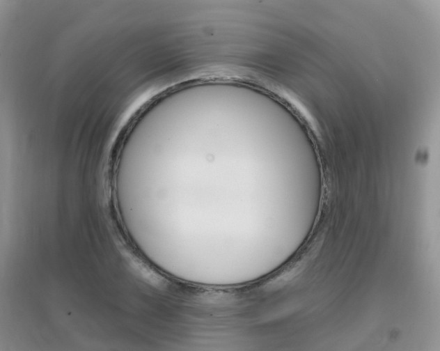 X0000096951075200802080915