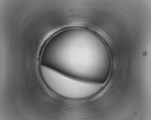 X0000096951077200802080915