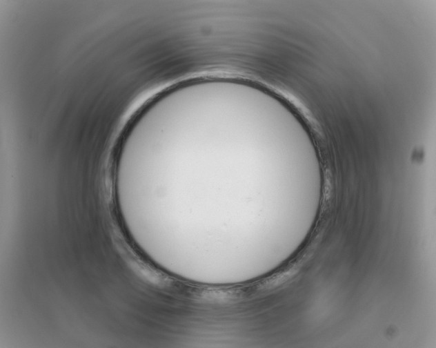 X0000096951078200802080915