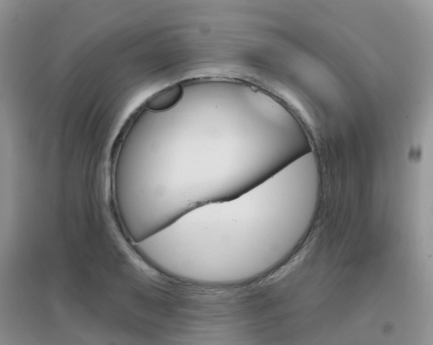 X0000096951079200802080915