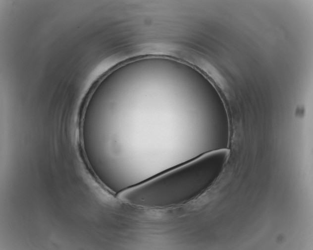 X0000096951080200802080915