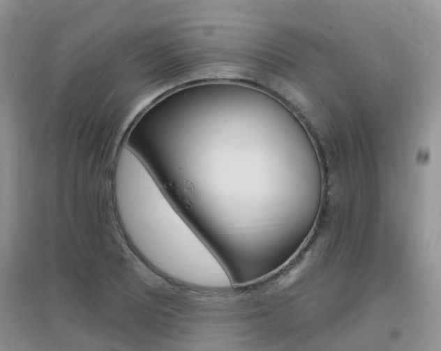 X0000096951081200802080915