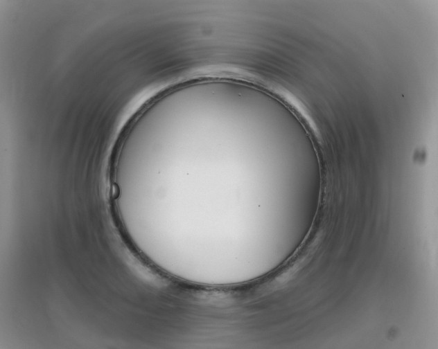 X0000096951082200802080915