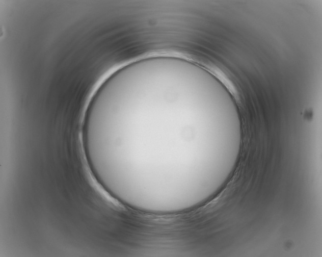 X0000096951084200802080915