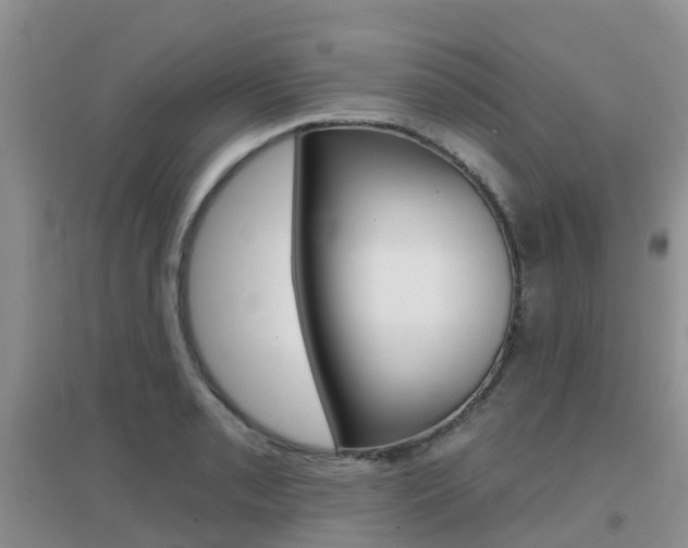 X0000096951085200802080915