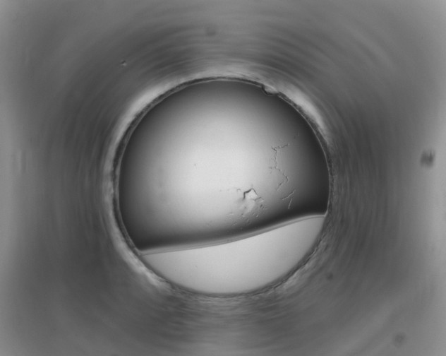 X0000096951088200802080915