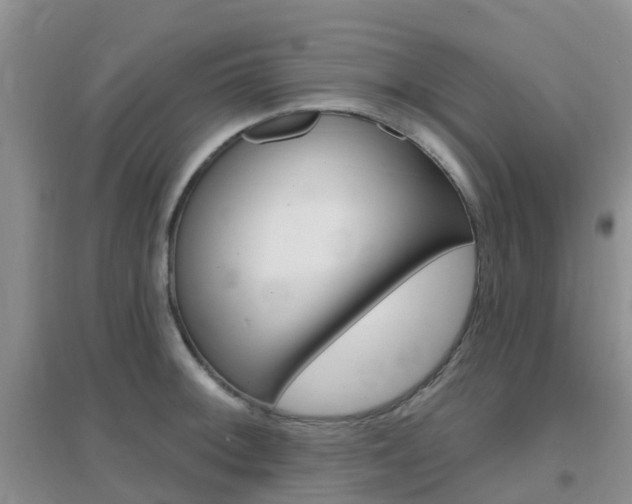 X0000096951092200802080915