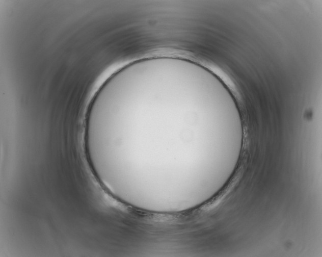 X0000096951094200802080915