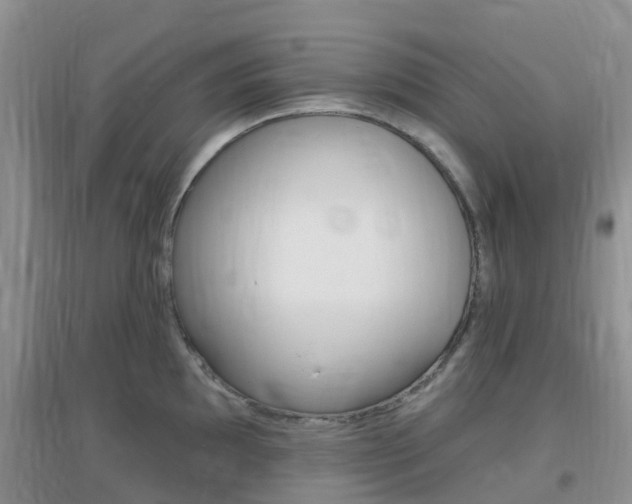X0000096951097200802080915