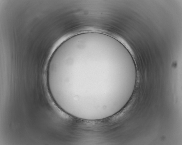X0000096951098200802080915