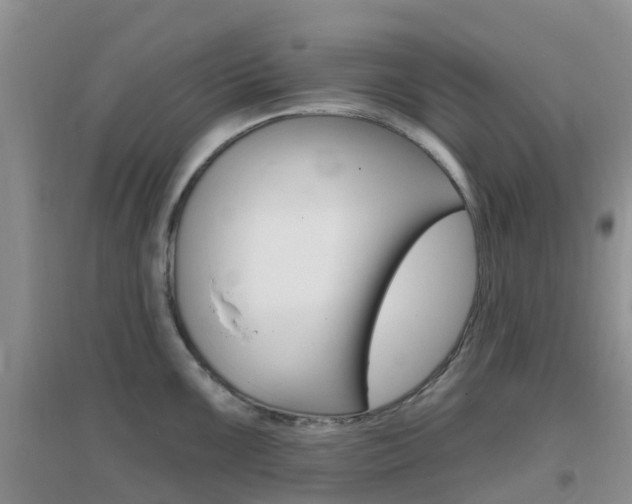 X0000096951099200802080915