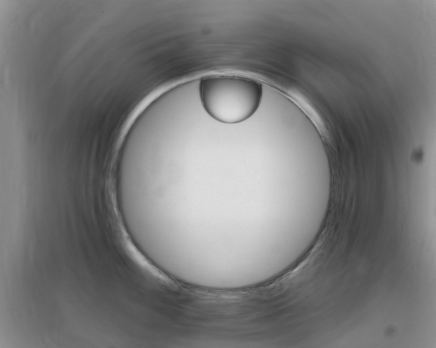X0000096951100200802080915