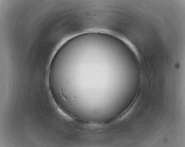 X0000096951102200802080915