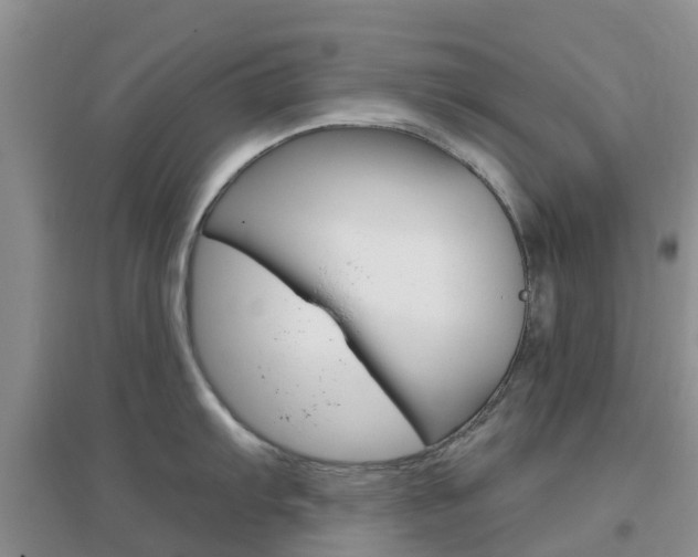 X0000096951103200802080915