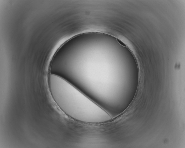 X0000096951104200802080915