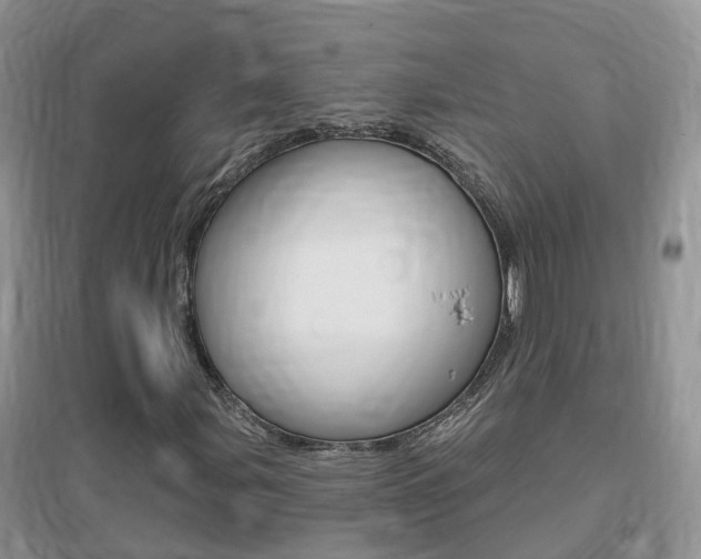 X0000096951107200802080914