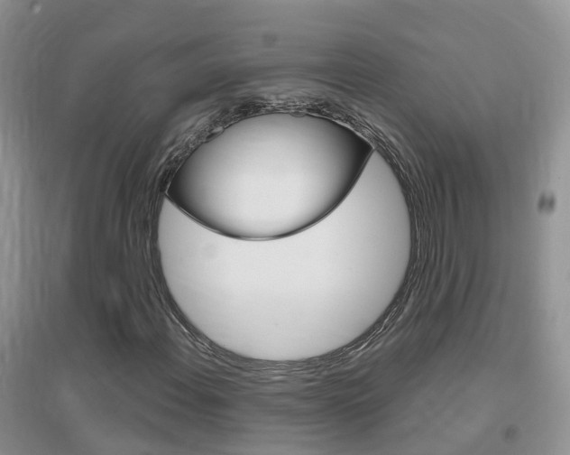X0000096951108200802080914