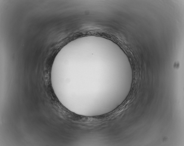 X0000096951109200802080914