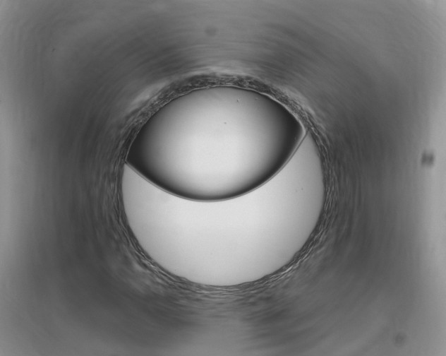 X0000096951110200802080914