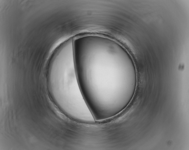 X0000096951114200802080914