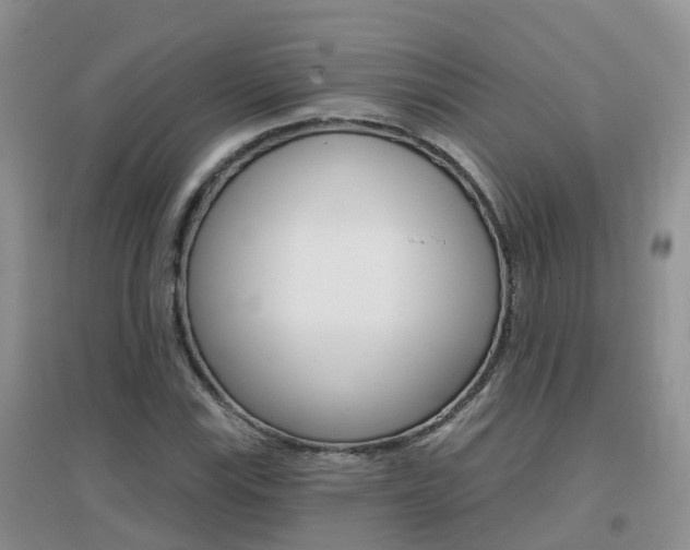 X0000096951115200802080914