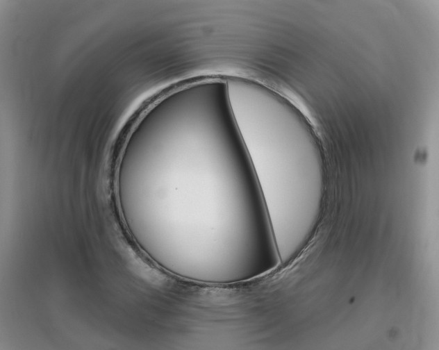 X0000096951116200802080914