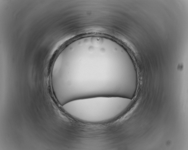 X0000096951117200802080914