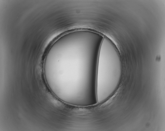 X0000096951119200802080914