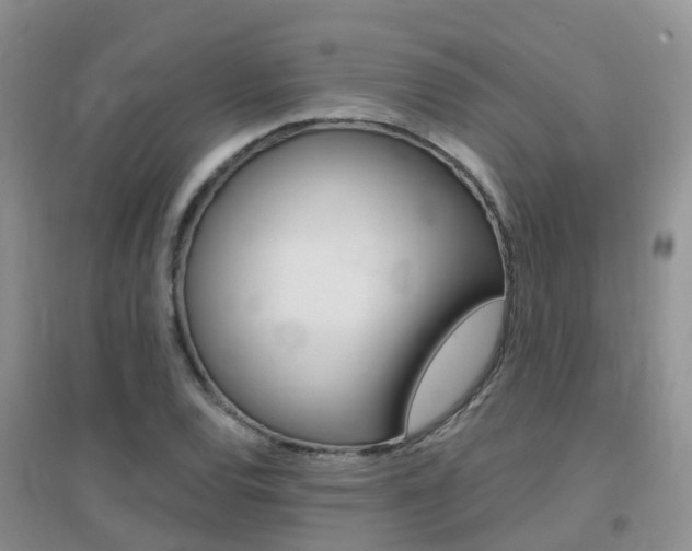 X0000096951120200802080914