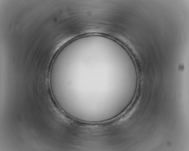 X0000096951121200802080914