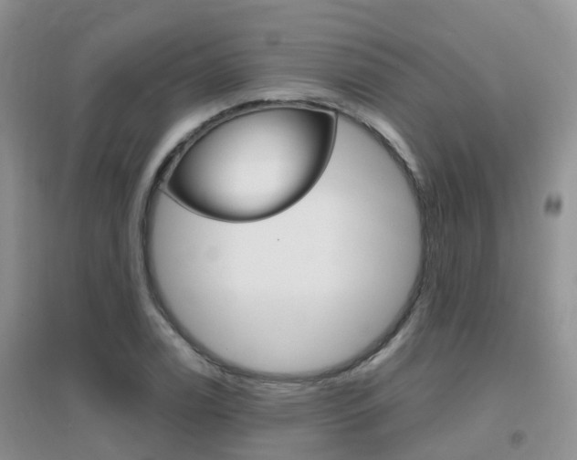 X0000096951122200802080914