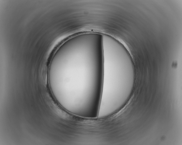 X0000096951123200802080914