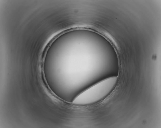 X0000096951124200802080914
