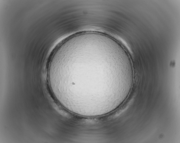 X0000096951125200802080914