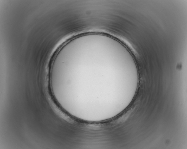 X0000096951126200802080914
