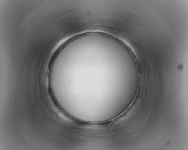 X0000096951127200802080914