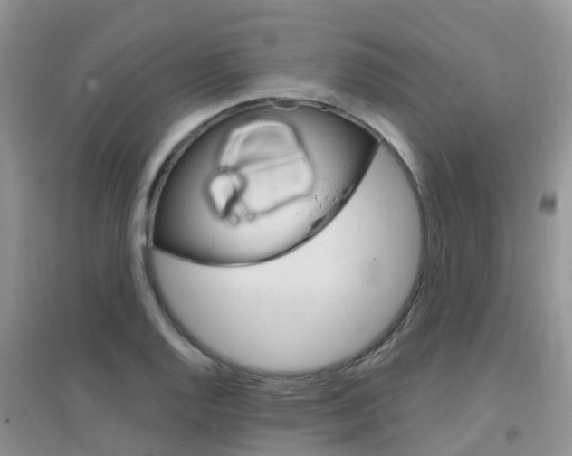 X0000096951128200802080914