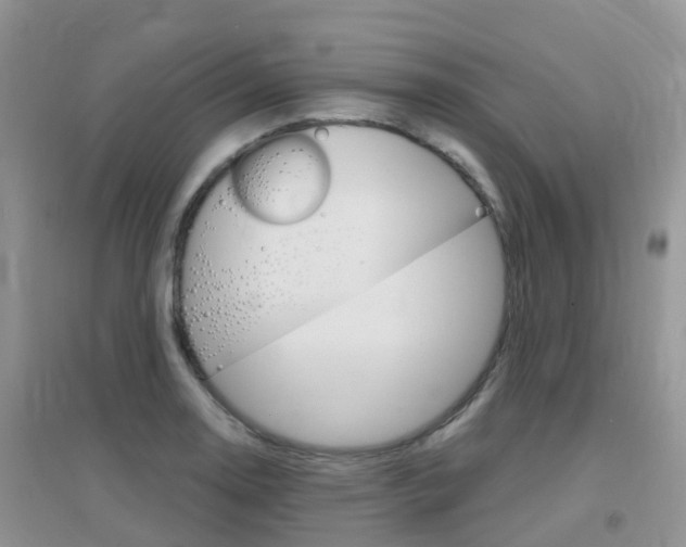 X0000096951130200802080915
