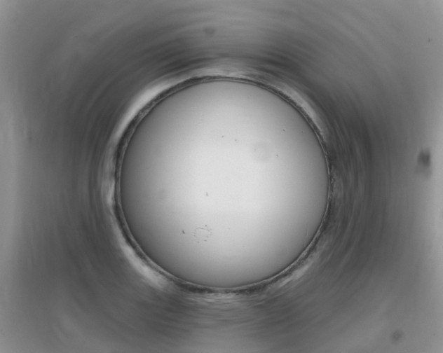 X0000096951131200802080915
