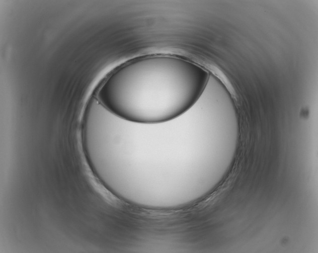 X0000096951132200802080915