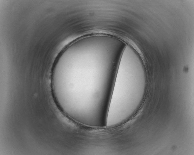 X0000096951133200802080915