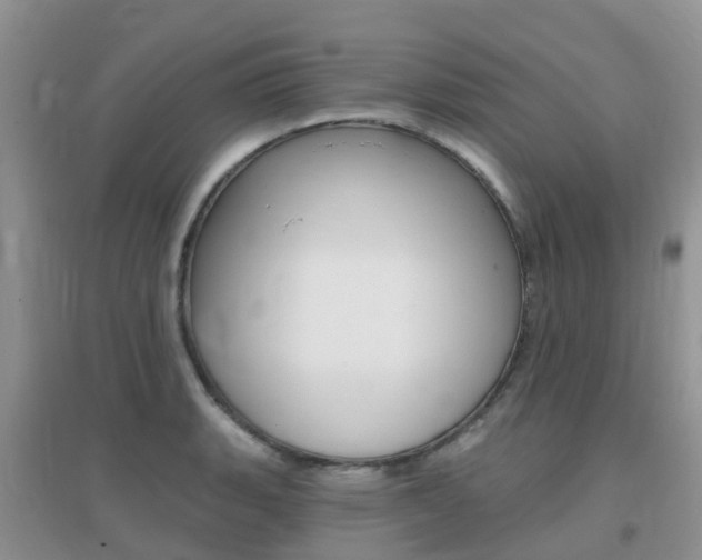X0000096951135200802080915