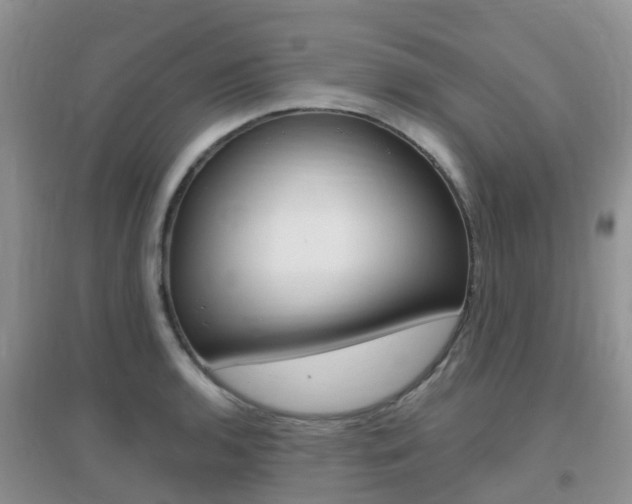 X0000096951136200802080915