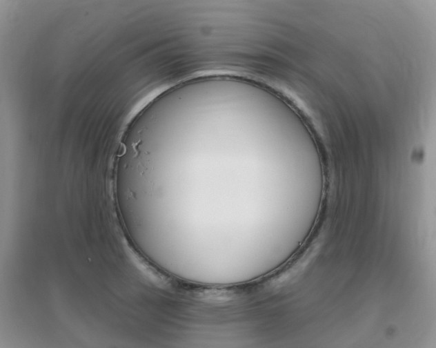 X0000096951137200802080915